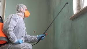 Professional Mold Removal in Santa Ynez, CA